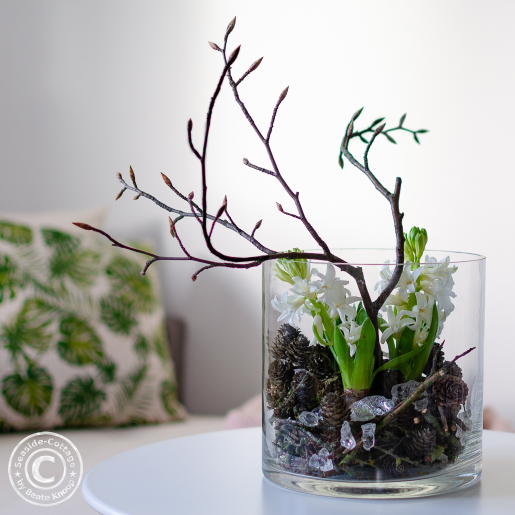 Hyazinthen dekoriert in einem Glas mit Zapfen, Zweigen und Glasbrocken