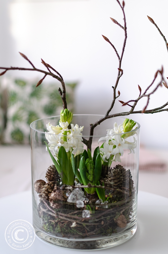 Weiße Hyazinthen dekoriert in einem Glas mit Zapfen, Zweigen und Glasbrocken