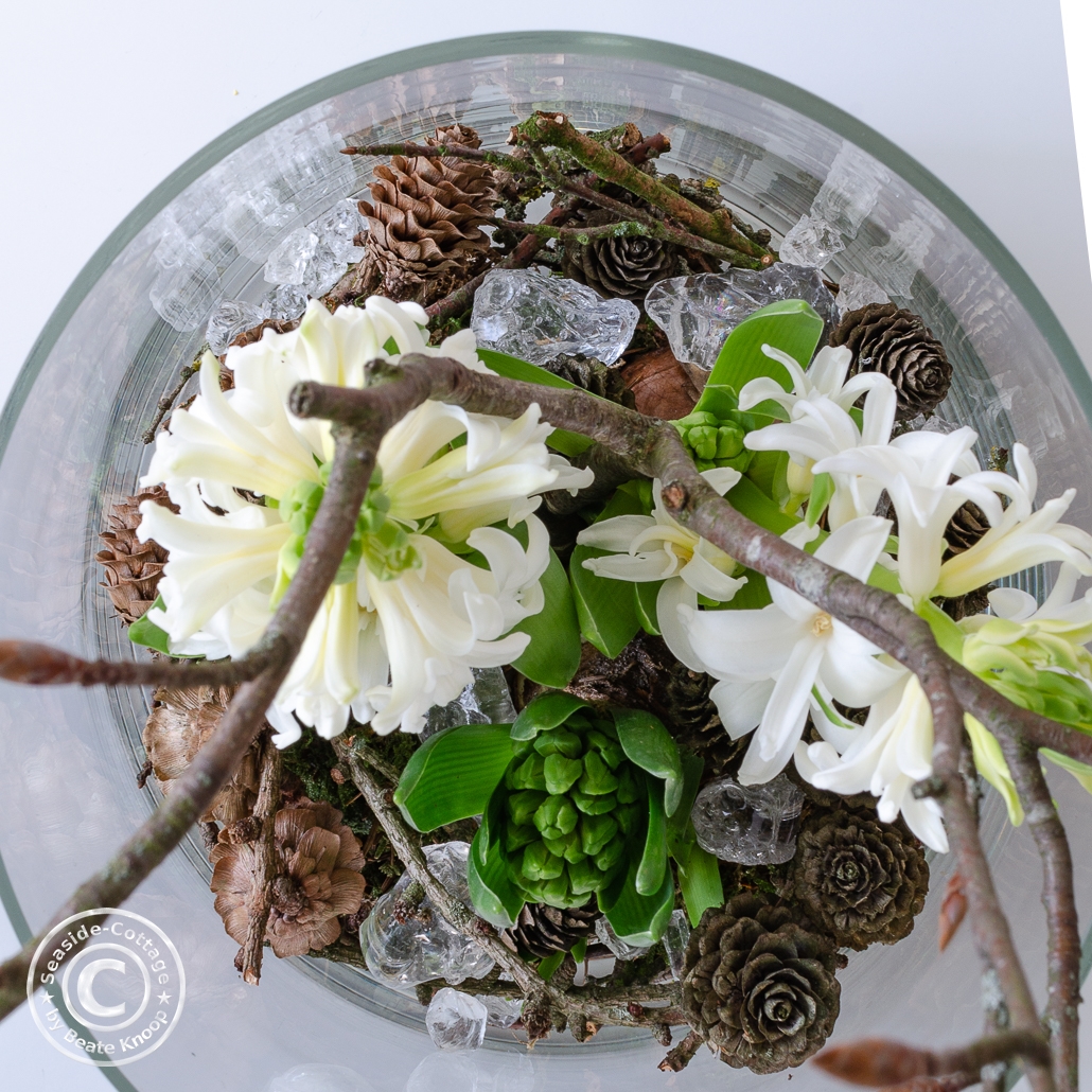 Aufsicht weiße Hyazinthen dekoriert in einem Glas mit Zapfen, Zweigen und Glasbrocken