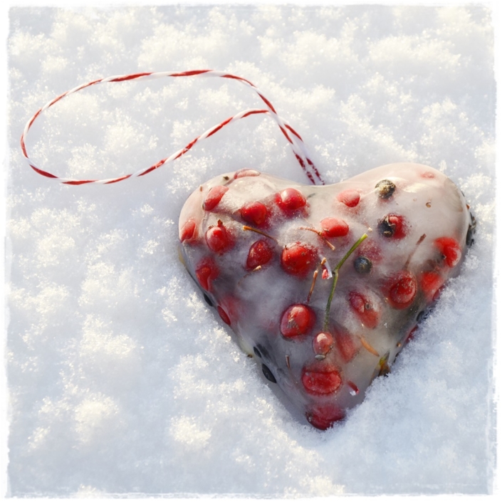 DIY gefrorenes Herz mit Beeren Winterdeko Gefrorenes Beerenherz