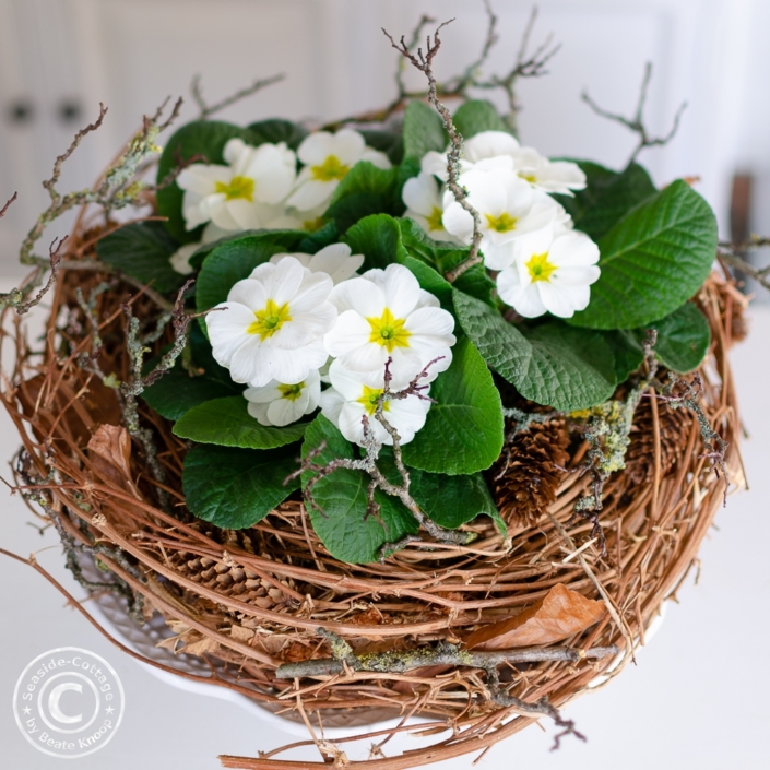 fruehling_deko_primeln_im_nest_01 Weiße Primeln in einem Nest aus Hopfenrebe