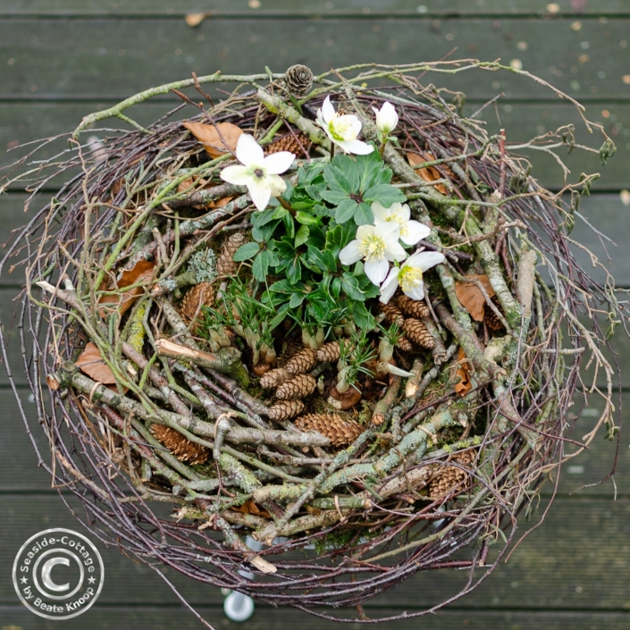 winterlicher_kranz_aus_aesten_und_zweigen_Titel Kranz aus Ästen und Zweigen bepflanzt mit Christrose und Krokussen