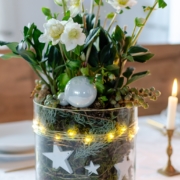 Christrosen weihnachtlich dekoriert im Glas für Tischdeko