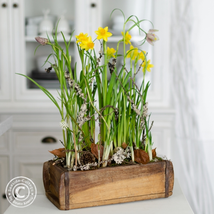 fruehlingsblumen-in-ziegelform-natuerlich-dekoriert-02 Narzissen, Schachbrettblumen und Perlhyazinthen in einer Ziegelform natürlich dekoriert mit naturnaher Bodengestaltung