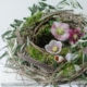Drei verschiedene Sorten Lenzrosen in einem Nest aus Rebe, dekoriert mit Olivenzweigen, Moos, Federn und Schneckenhäusern