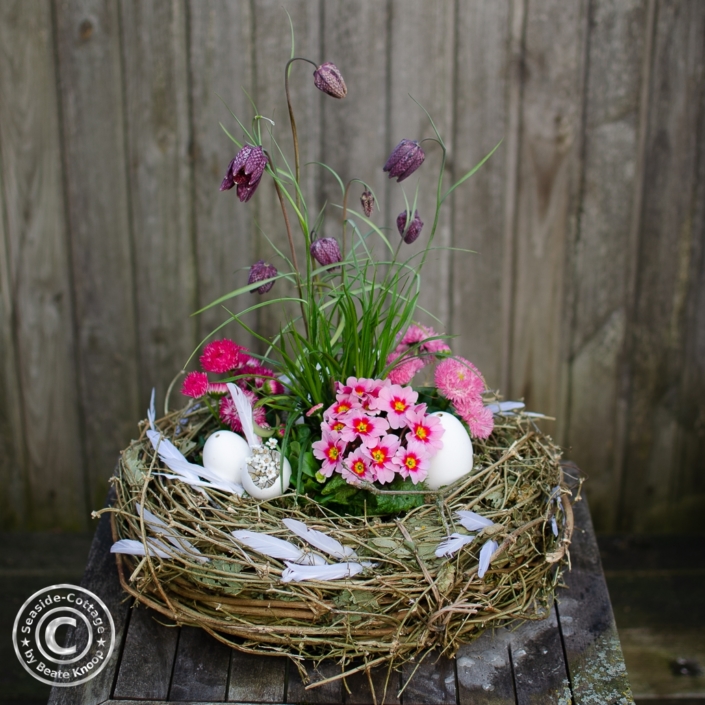 bepflanztes-osternest-mit-bellis-und-primeln-www.seaside-cottage.de-003 Frühlingsblumen in Rosa Farben in einen Rebenkranz gepflanzt