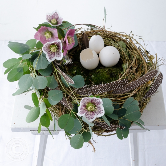 osternest-mit-lenzrosen-und-eukalyptus-03 Nest aus Rebe dekoriert mit Eukalyptus, Lenzrosen und Gänseeiern