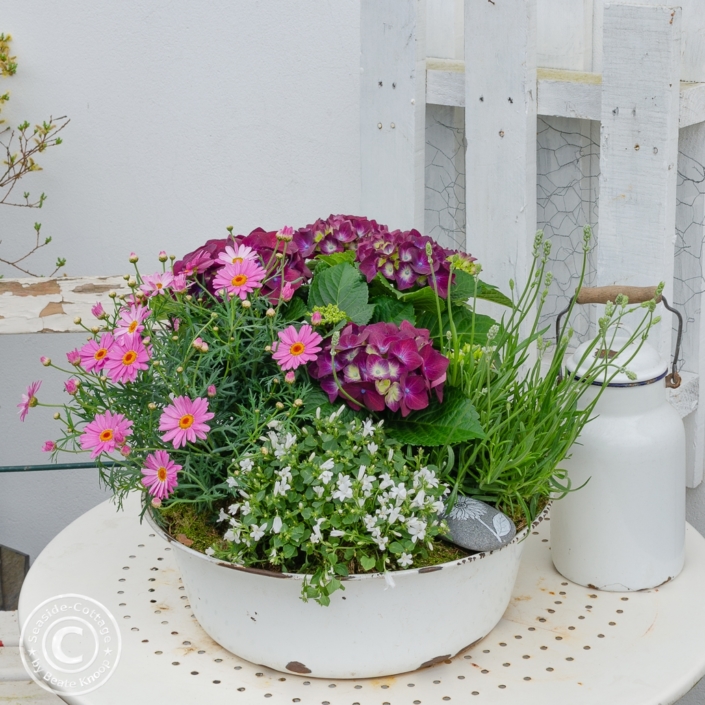 muttertag-pflanzschale-mit-hortensie-Titel Pflanzschale zum Muttertag - so geht's
