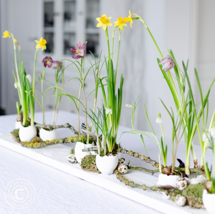 tischdeko-zu-ostern-mit-gaenseeiern-und-fruehlingsblumen-06 Anleitung für eine Tischdeko zu Ostern