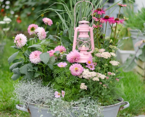 Bepflanzte Zinkwanne mit rosa Sommerblumen und mit einer rosa Laterne Marke Feuerhand Baby Special dekoriert