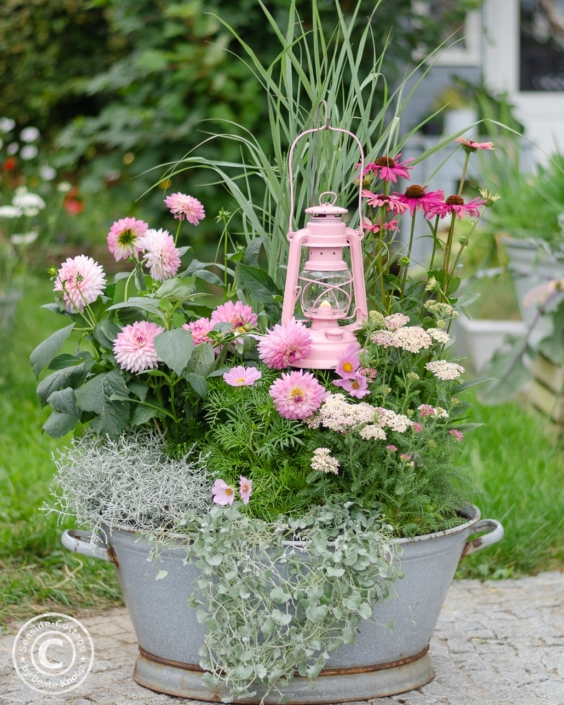 01-gartendeko-mit-laterne-in-bepflanzter-zinkwanne-feuerhand-baby-special Bepflanzte Zinkwanne mit rosa Sommerblumen und mit einer rosa Laterne Marke Feuerhand Baby Special dekoriert