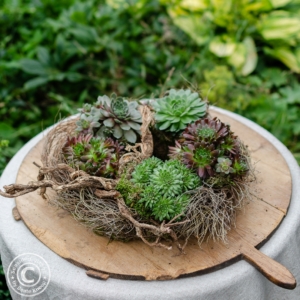 Naturkranz mit Hauswurz auf einem alten, runden Holzbrett auf einem runden Tisch mit Naturleinentischdecke. Im Hintergrund grüne Pflanzen im Garten