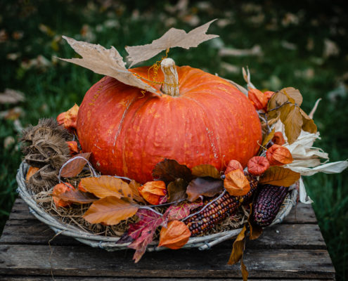 Herbstdeko: Großer oranger Kürbis auf Korbtablett, dekoriert mit Herbstlaub, Ziermais und Physalis