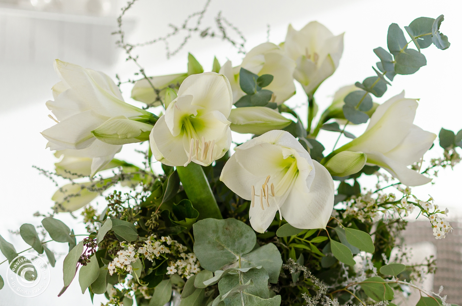 58+ Amaryllis Strauß Modern, Ob als dekoration in der eigenen
