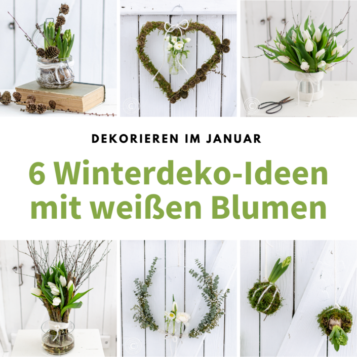 winterdekoideen-mit-weissen-blumen-titel