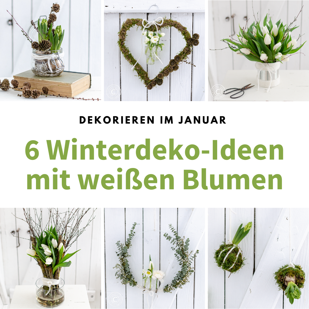 6 Winterdeko-Ideen mit weißen Blumen dekorieren im Januar