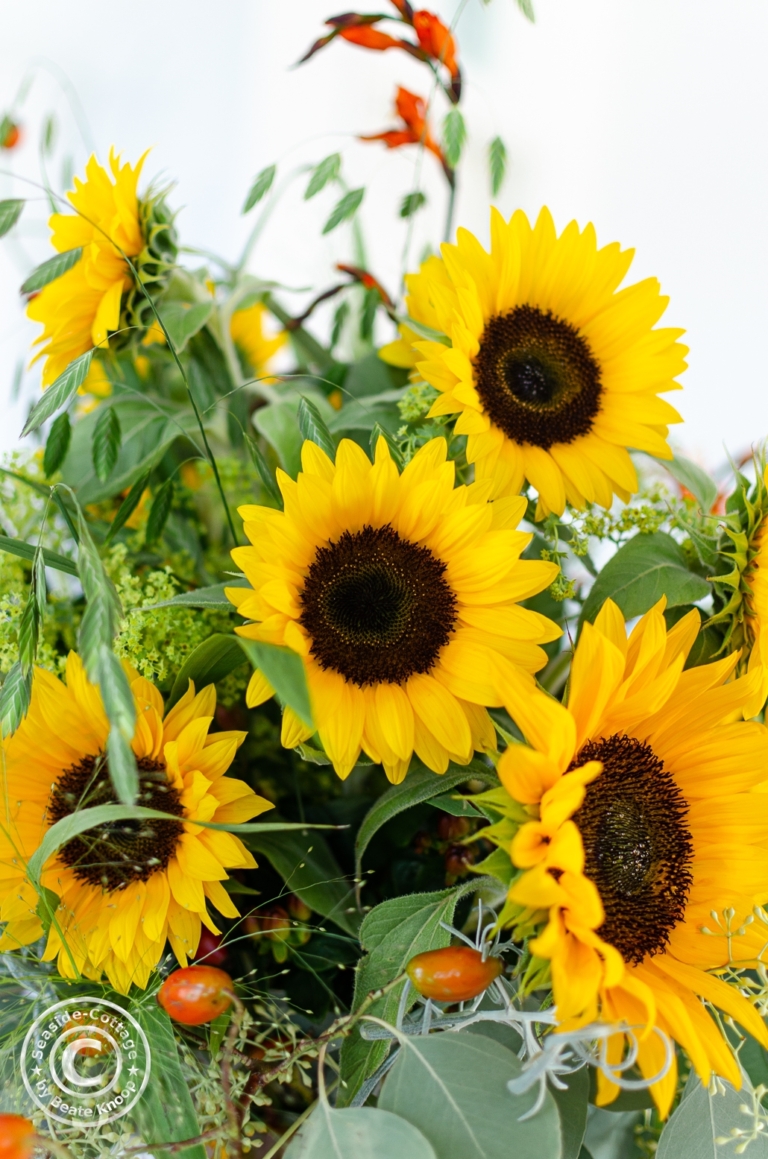 Gute-Laune-Strauß mit Sonnenblumen: der Strauß des Monats September ...